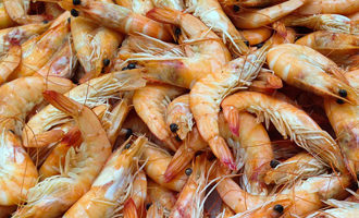 Що відбувається з організмом, якщо вживати надмірно багато креветок?