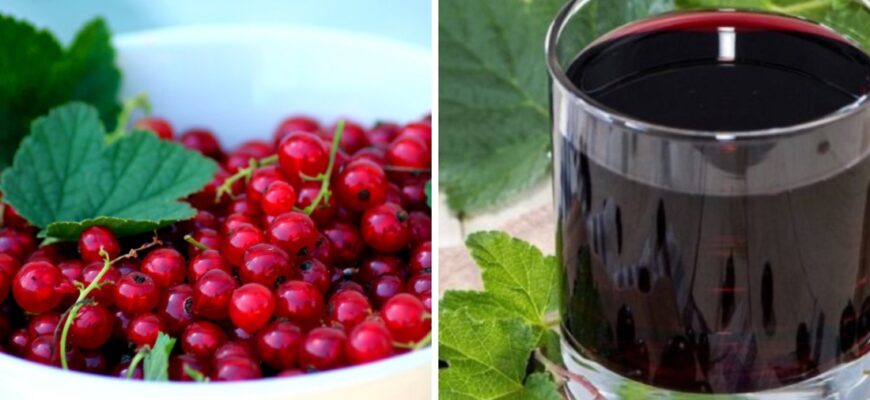 Які ягоди найкраще змішувати для отримання смачного домашнього вина?