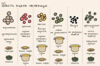 Як правильно варити сочевицю: оптимальний час та поради