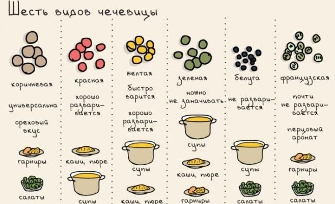 Як правильно варити сочевицю: оптимальний час та поради