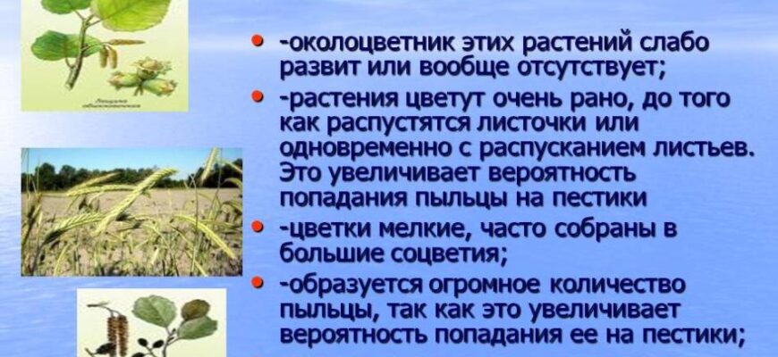 Чому рослини цвітуть раніше, ніж з’являються листя: пояснення феномену
