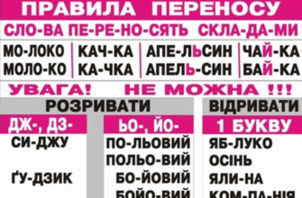 Як правильно переносити слово осока: правила та приклади