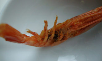 Що за ікра в креветках: Відкриваємо секрети та види делікатесу