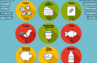 Скільки потрібно їсти білка в день: оптимальні норми споживання білка