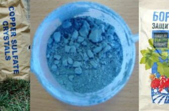 Чи безпечно поливати рослини бордоською рідиною: поради та застереження