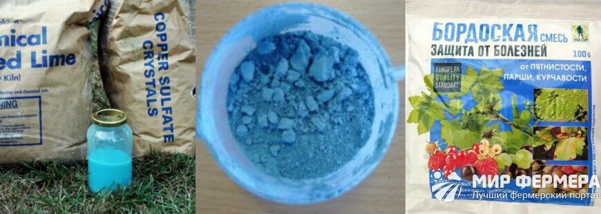 Чи безпечно поливати рослини бордоською рідиною: поради та застереження