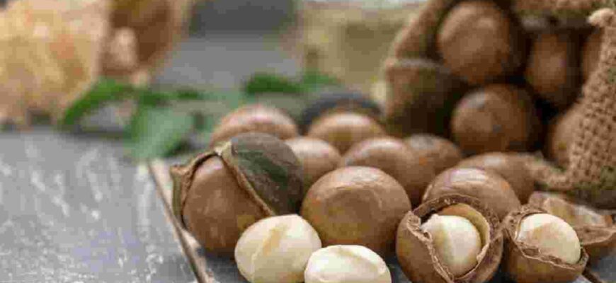 Скільки горіхів макадамія можна їсти без шкоди для здоров’я?