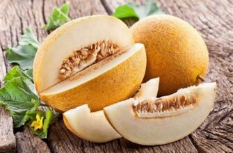 Як визначити стиглість дині: поради для вибору ідеального фрукта