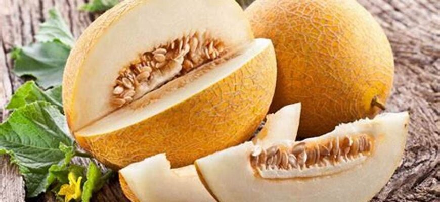 Як визначити стиглість дині: поради для вибору ідеального фрукта