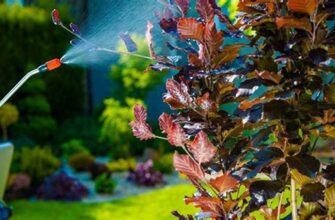 Чи варто поливати недавно висаджені дерева восени: поради експертів