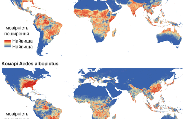 Місця поширення вірусу Зіка: важливі регіони та небезпеки