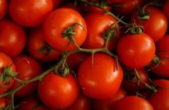 Де оптимально зберігати помідори: холодильник чи кімнатна температура?