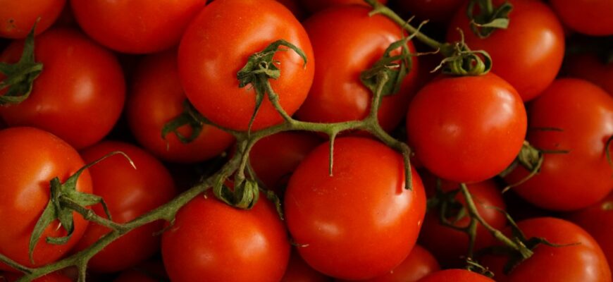 Де оптимально зберігати помідори: холодильник чи кімнатна температура?