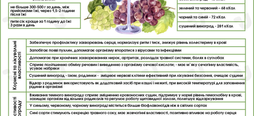 Чим корисний темний виноград: користь для здоров’я і краса в плоді