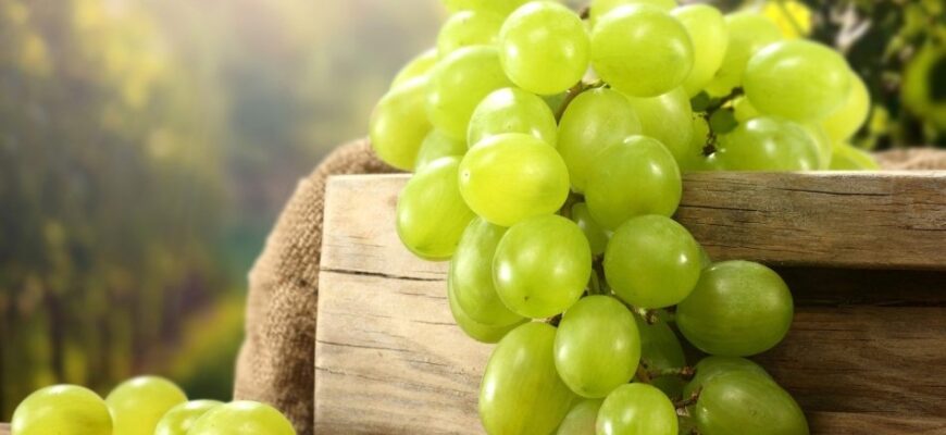 До чого сниться їсти виноград: значення сну та його тлумачення