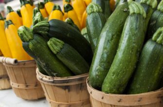 Де зберігати кабачки: в холодильнику чи на полиці, що краще?