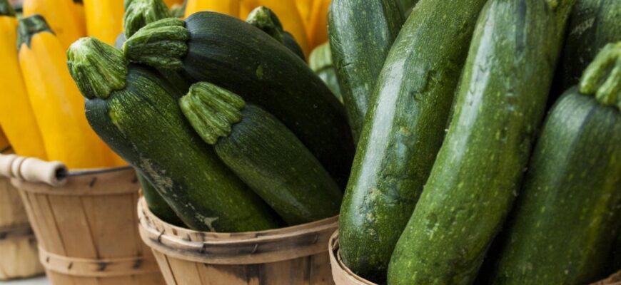 Де зберігати кабачки: в холодильнику чи на полиці, що краще?