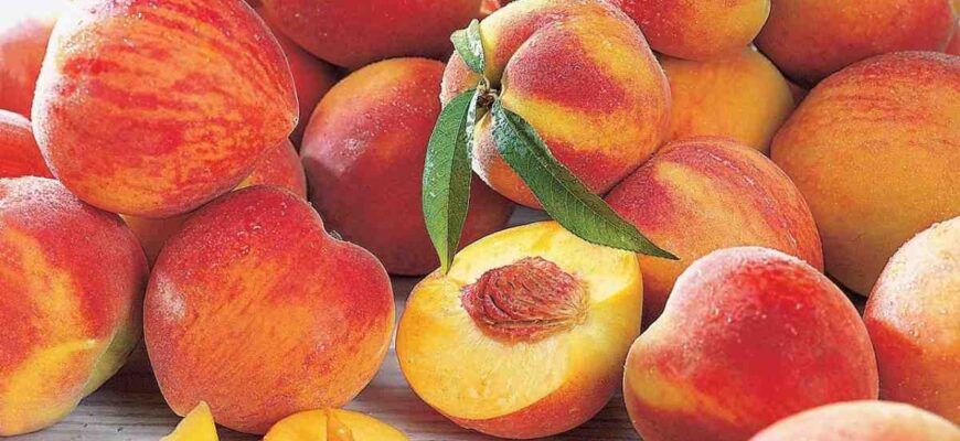 Чи безпечно вживати насіння персика: користь та можливі ризики