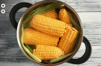 Правильне приготування кукурудзи: як варити смачно та поживно