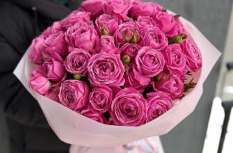 Чи можна дарувати 14 троянд: символіка та значення подарунка