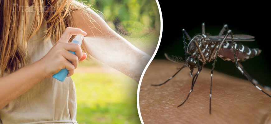 Ефективні методи відлякування комарів уночі: засоби та поради