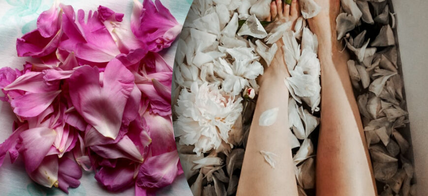 Застосування пелюсток півонії: творчі та практичні ідеї використання