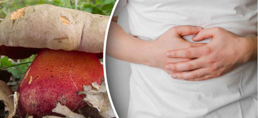 Чи безпечно вживати в їжу сатанинський гриб: експертна думка