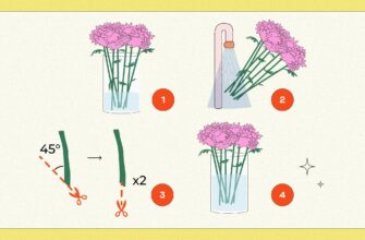 Як максимально продовжити термін життя зрізаних хризантем у вазі