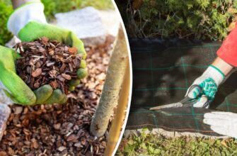 Ефективні матеріали для доріжок: як зупинити ріст трави назавжди