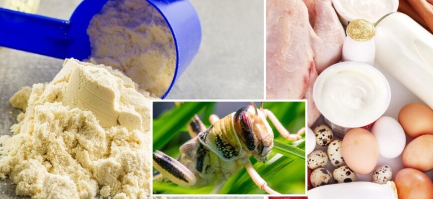 Звідки беруть цеоліт: джерела, видобуток та особливості мінералу