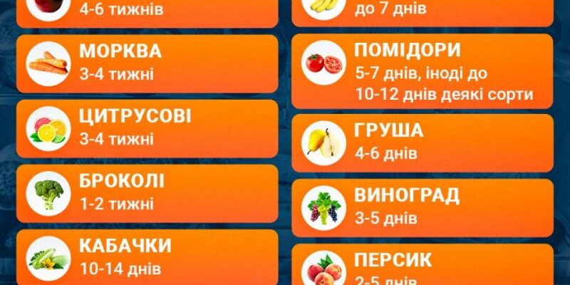 Оптимальні умови зберігання картоплі: холодильник чи кімнатна температура?