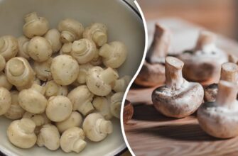 Чи дійсно треба очищати гриби від шкірки перед приготуванням?