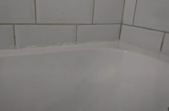 Ефективні методи позбавлення від чорної цвілі у душовій кімнаті