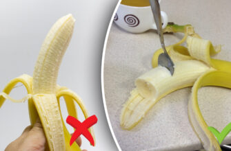 Етикет: Основні Правила Як Правильно Їсти за Столом за Етикетом