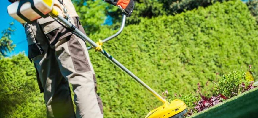 Чому косити мокру траву тримерами небезпечно: основні причини