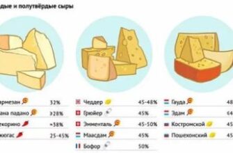 Чи Безпечно Вживати 100 Грамів Сиру Щодня: Поради та Рекомендації