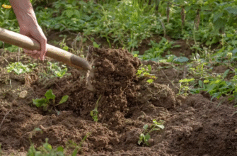 Якою лопатою важче копати: порівняння та практичні поради