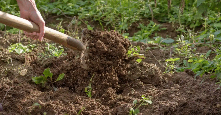 Якою лопатою важче копати: порівняння та практичні поради
