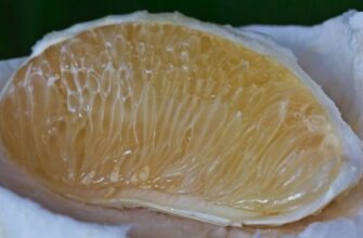 Чи можна їсти помело при цукровому діабеті: поради та рекомендації