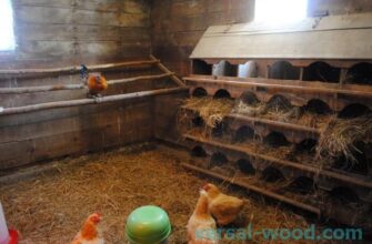 Ефективна дезінфекція курника вдома: покрокова інструкція та поради