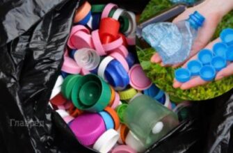Навіщо їх збирають: Чому забирають кришки від пластикових пляшок?