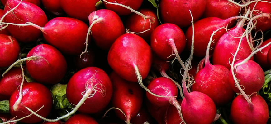 Як зберегти редис на зиму: ефективні методи та поради експертів