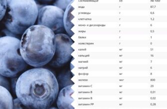 Скільки можна їсти лохини щодня: поради та рекомендації дієтологів