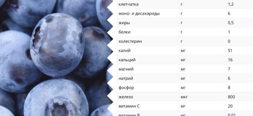 Скільки можна їсти лохини щодня: поради та рекомендації дієтологів