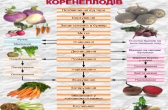 Які документи потрібні для законного продажу овочів в Україні?