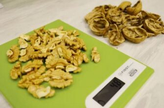 Оптимізований заголовок H1 для статті на цю тему може виглядати так:

Скільки важить один волоський горіх: точна вага в грамах