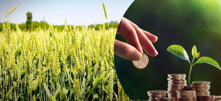 Як перевірити наявність земельного податку: покрокова інструкція