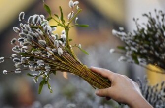 Заборони на Вербну неділю: що варто знати та яких правил дотримуватись