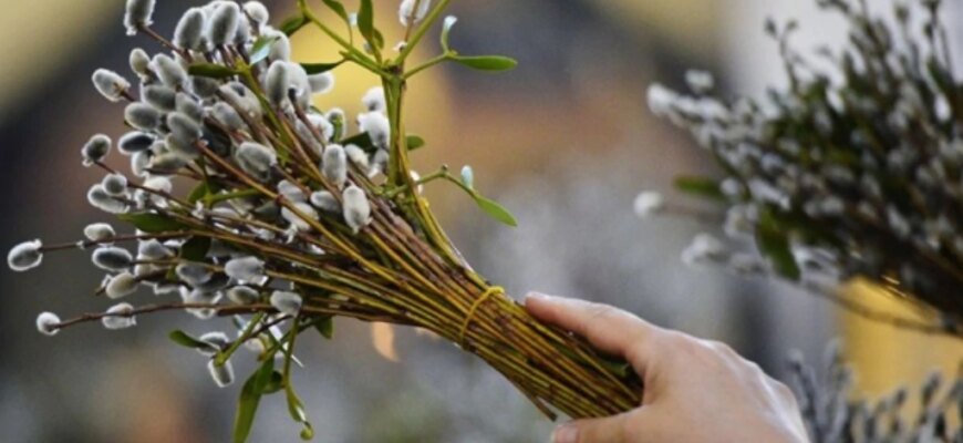 Заборони на Вербну неділю: що варто знати та яких правил дотримуватись