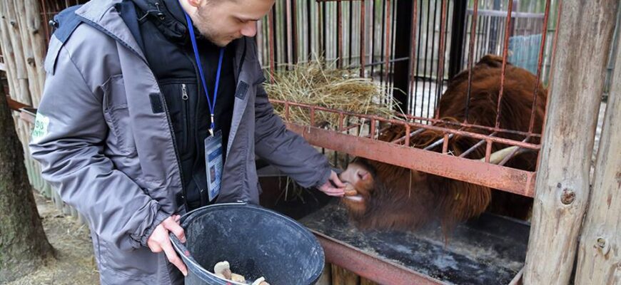 Як називається фахівець з догляду за тваринами: професії та обов’язки